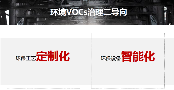 澳门·新葡萄新京6663(中国)官方网站兰宝环保获2019年度“废气处理行业受欢(图2)