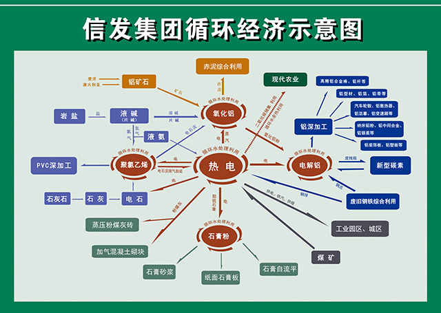 澳门·新葡萄新京6663(中国)官方网站蹲点深一度｜“信发”变绿记(图2)